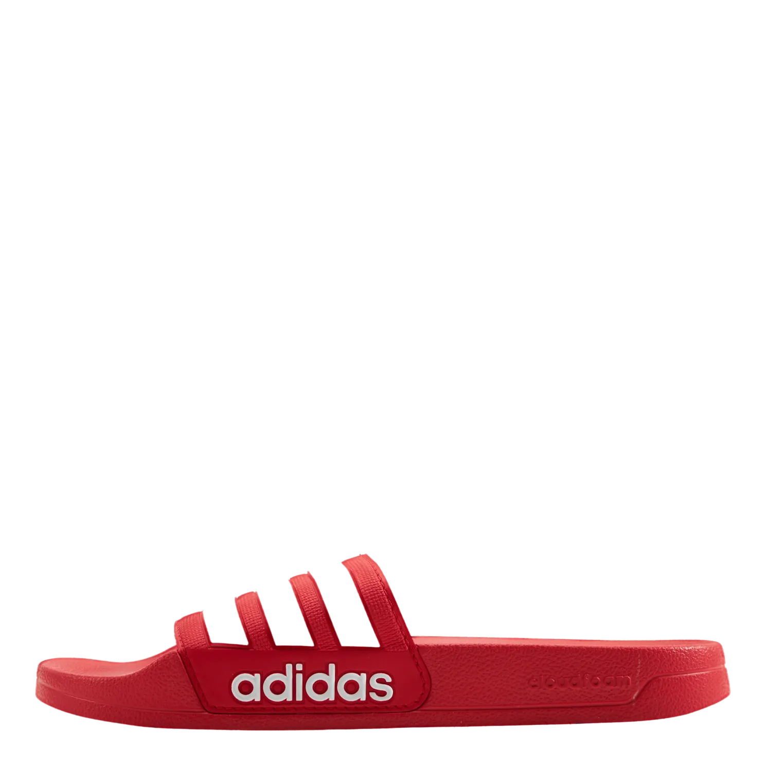 Adilette Shower Slides Vivid Red / Cloud White / Vivid Red