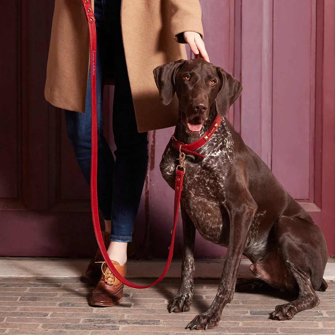 Dog collar - Magnetic Red ❤️