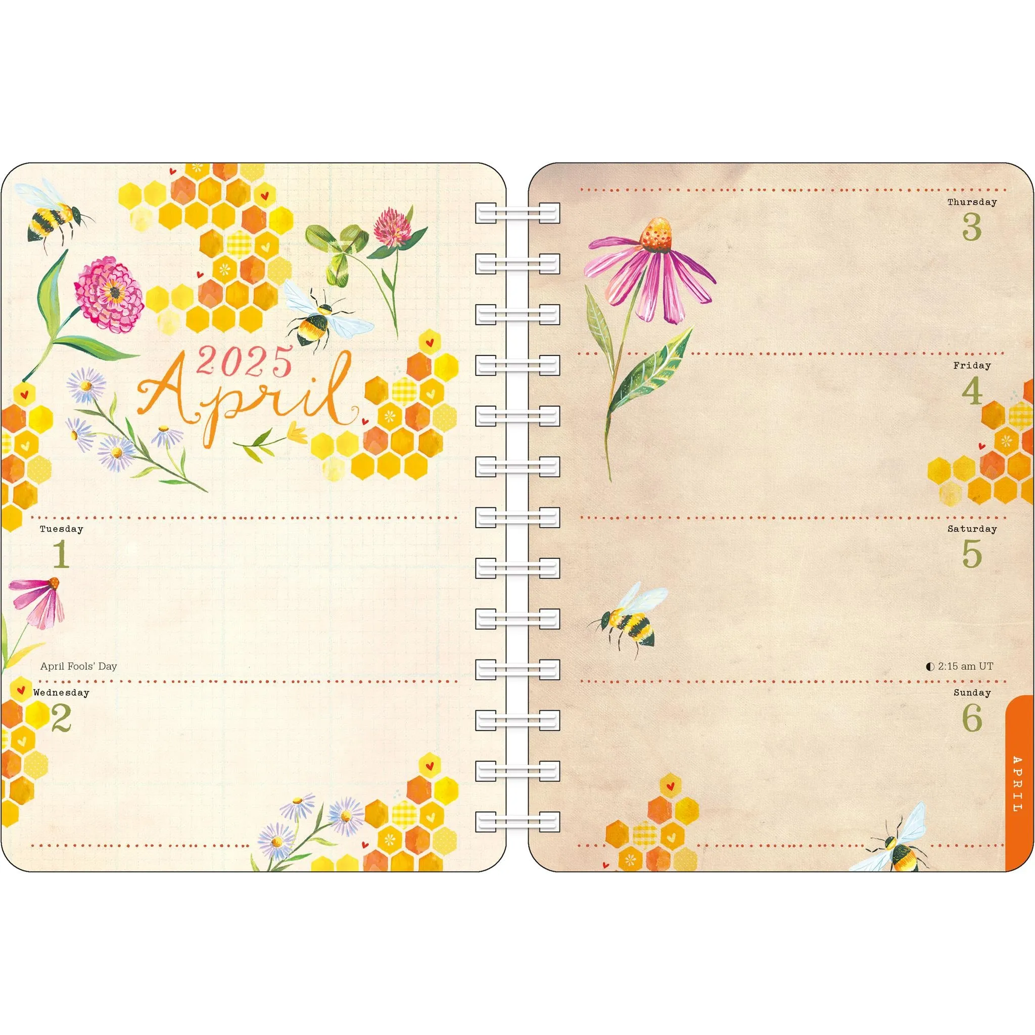 Katie Daisy Wild Beauty Planner 2025 Calendar