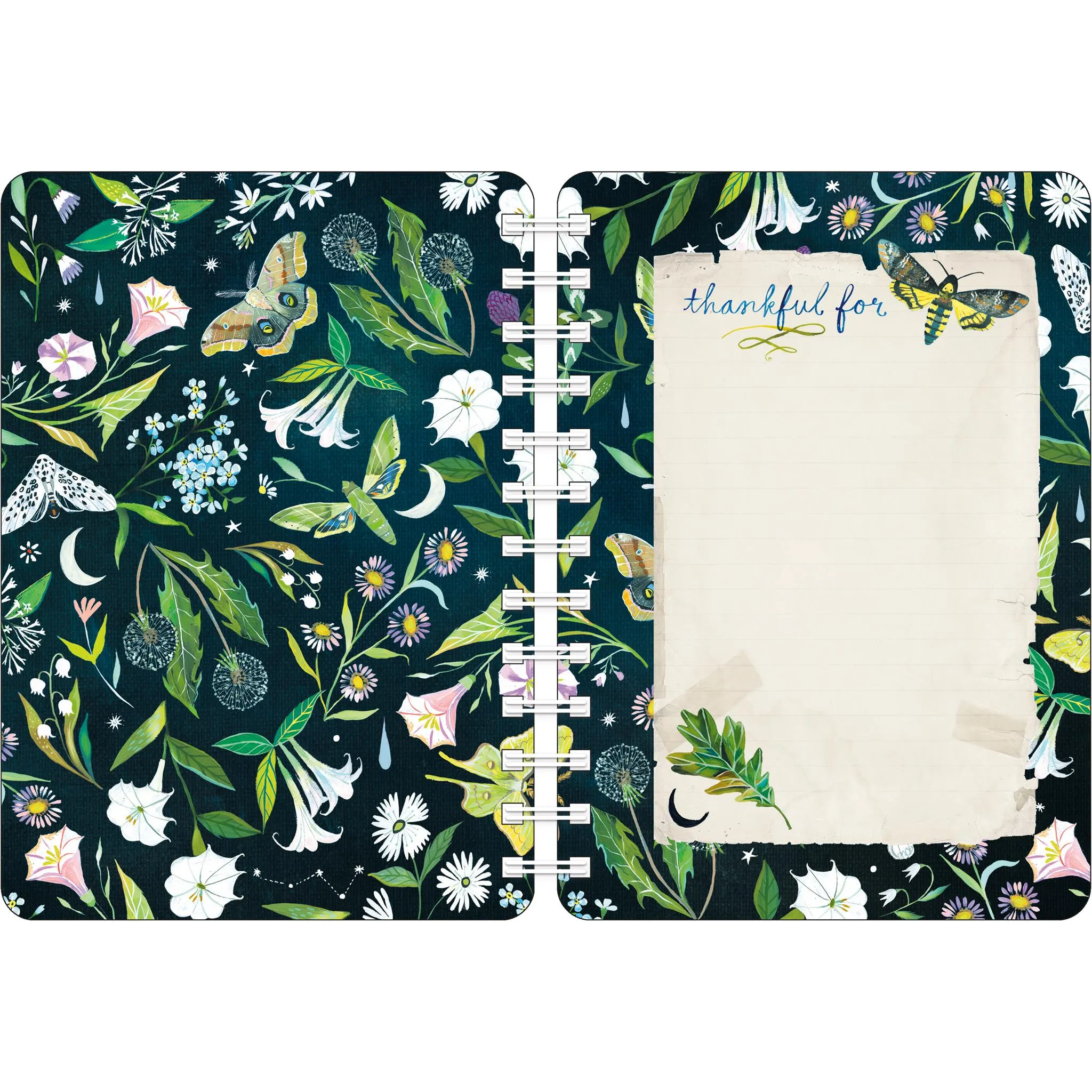 Katie Daisy Wild Beauty Planner 2025 Calendar