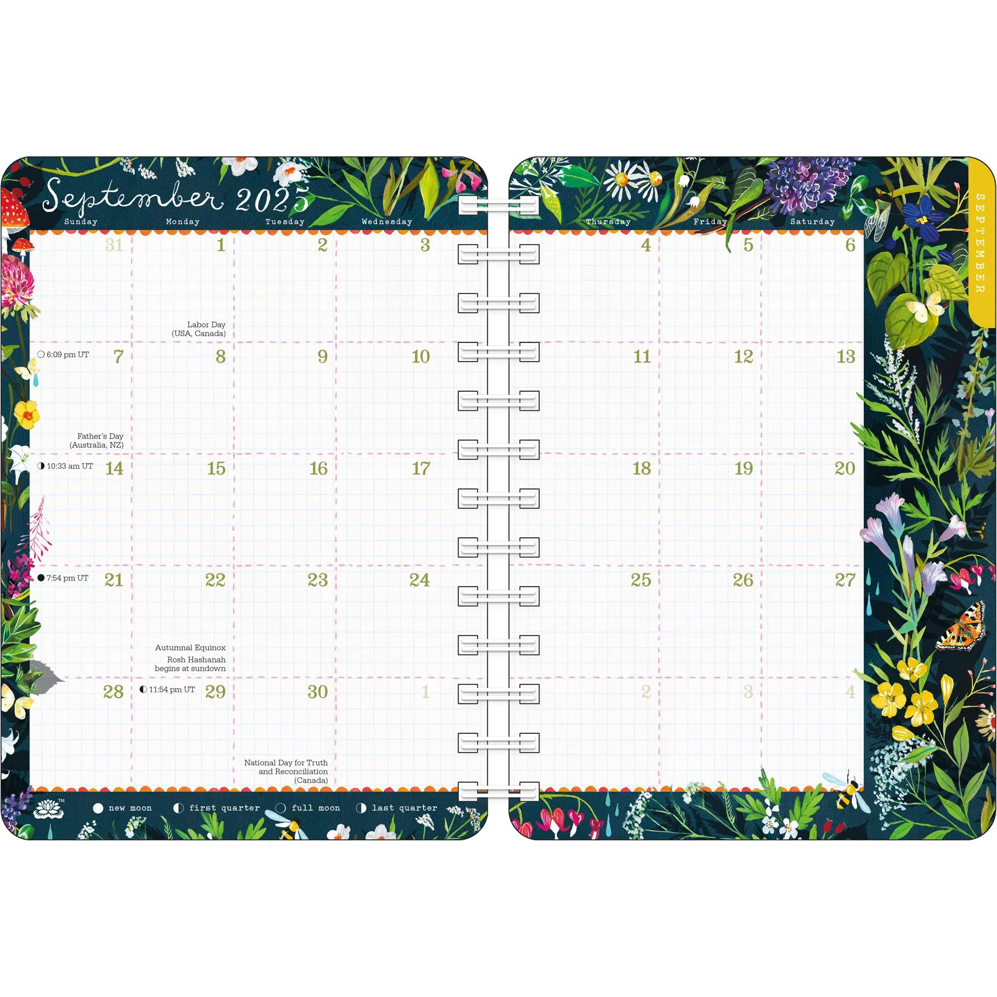 Katie Daisy Wild Beauty Planner 2025 Calendar