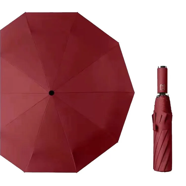 Ten Bones All-in-One Automatic Umbrella with Built-in Flashlight, HG0139